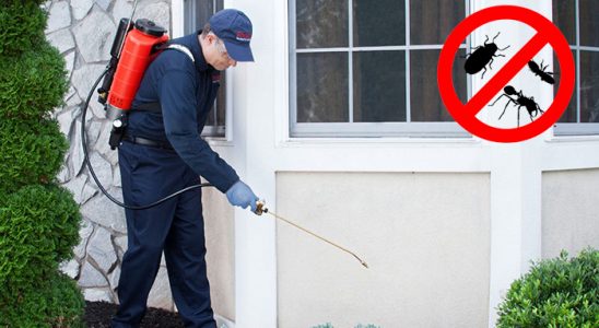Yunak Akrep İlaçlama böcek ilaçlama ve haşere kontrolü — ilaclama-tr.com